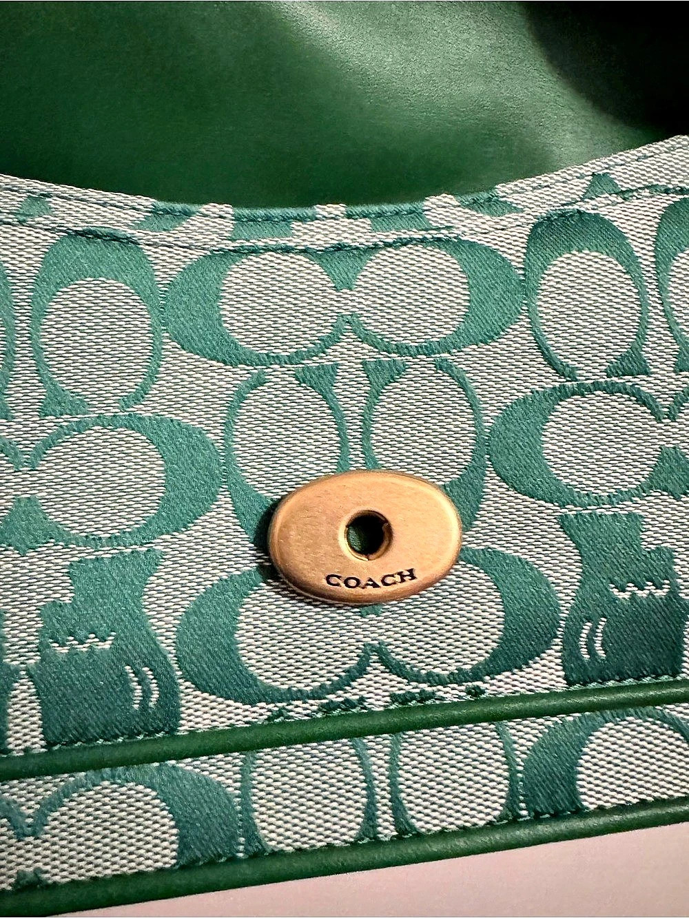 Coach x Brain Dead Green Tabby  NWT - Picture 7 of 12